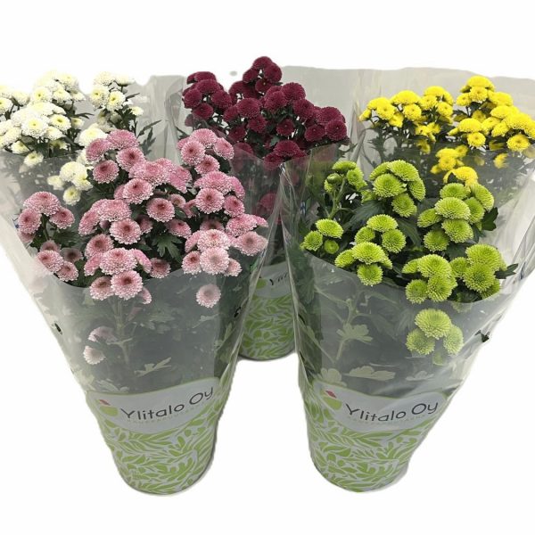 WhatsApp Image 2025-11-10 at 12.40.22